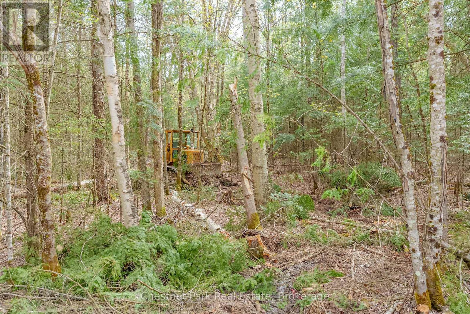 PART 6 ECHO RIDGE ROAD