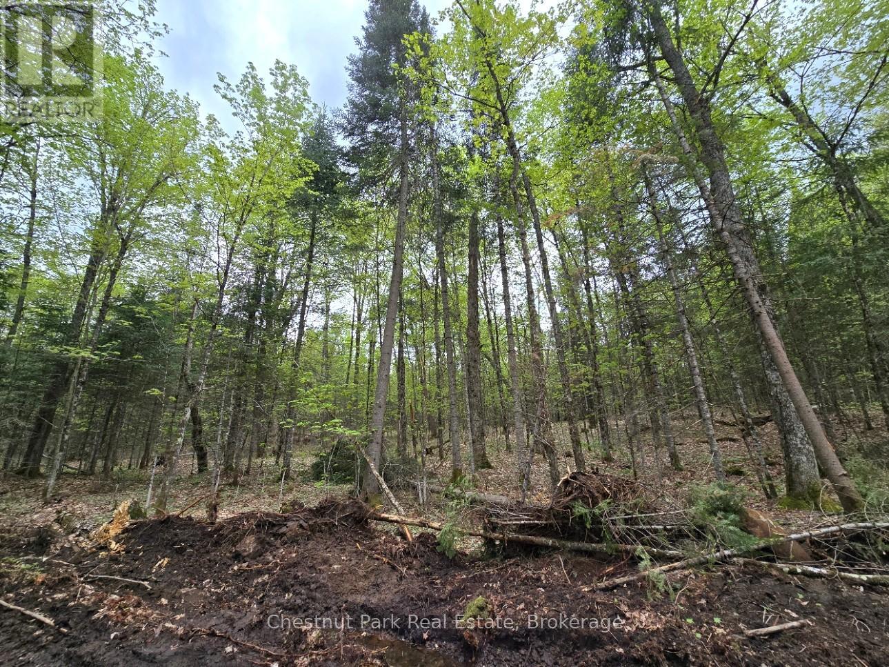 PART 6 ECHO RIDGE ROAD