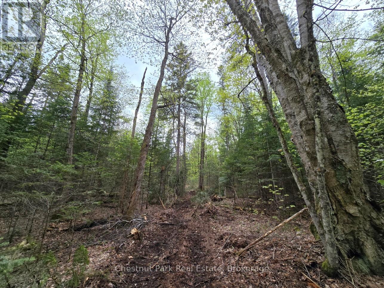 PART 6 ECHO RIDGE ROAD