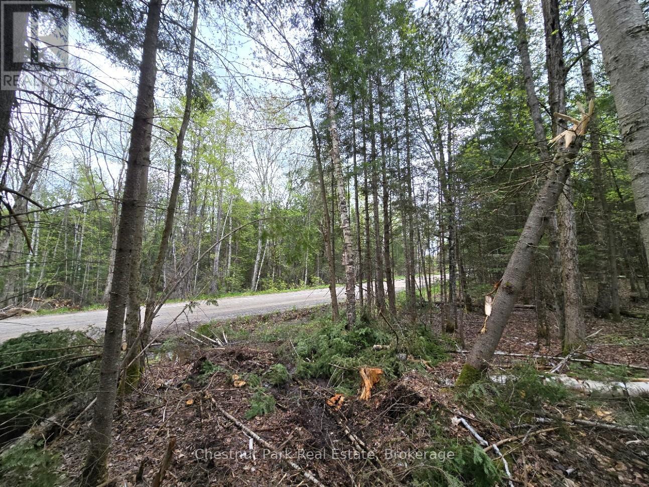 PART 6 ECHO RIDGE ROAD