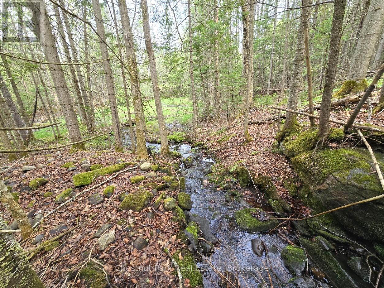 PART 7 ECHO RIDGE ROAD