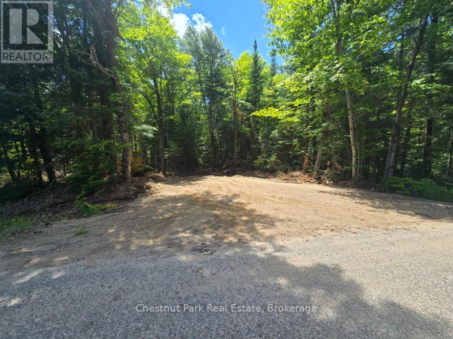 PART 7 ECHO RIDGE ROAD