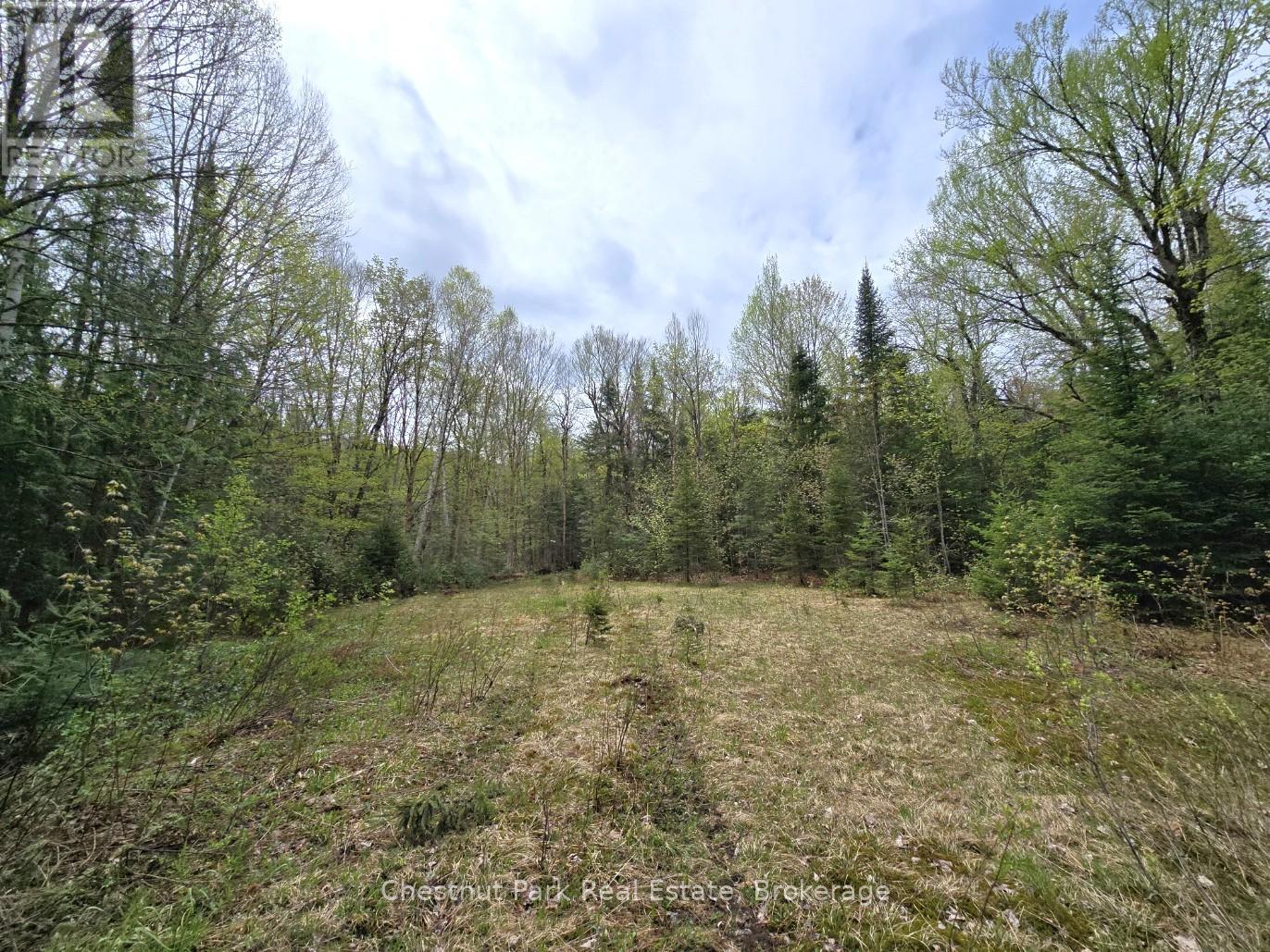 PART 7 ECHO RIDGE ROAD