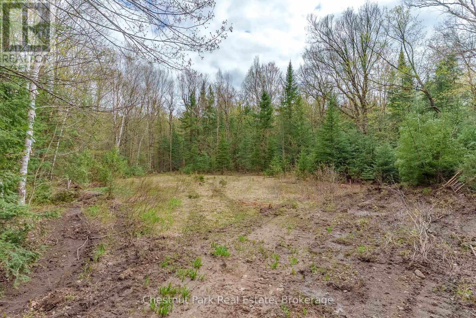 PART 7 ECHO RIDGE ROAD