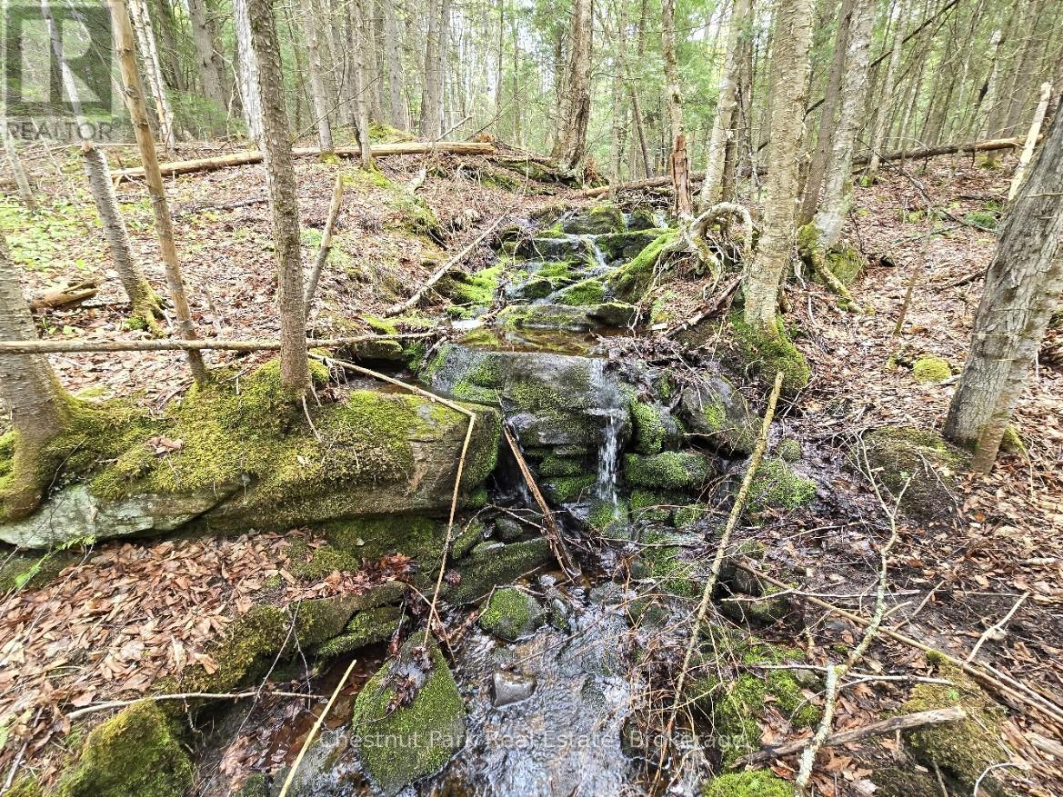 PART 7 ECHO RIDGE ROAD