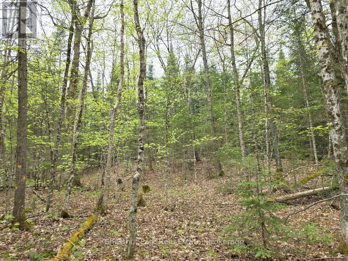 PART 7 ECHO RIDGE ROAD