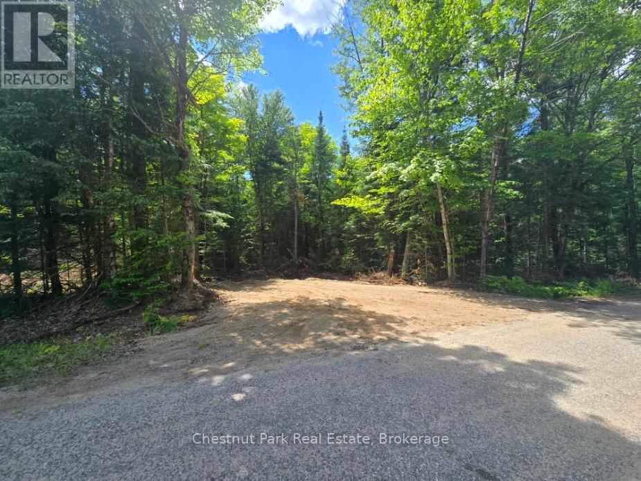 PART 7 ECHO RIDGE ROAD