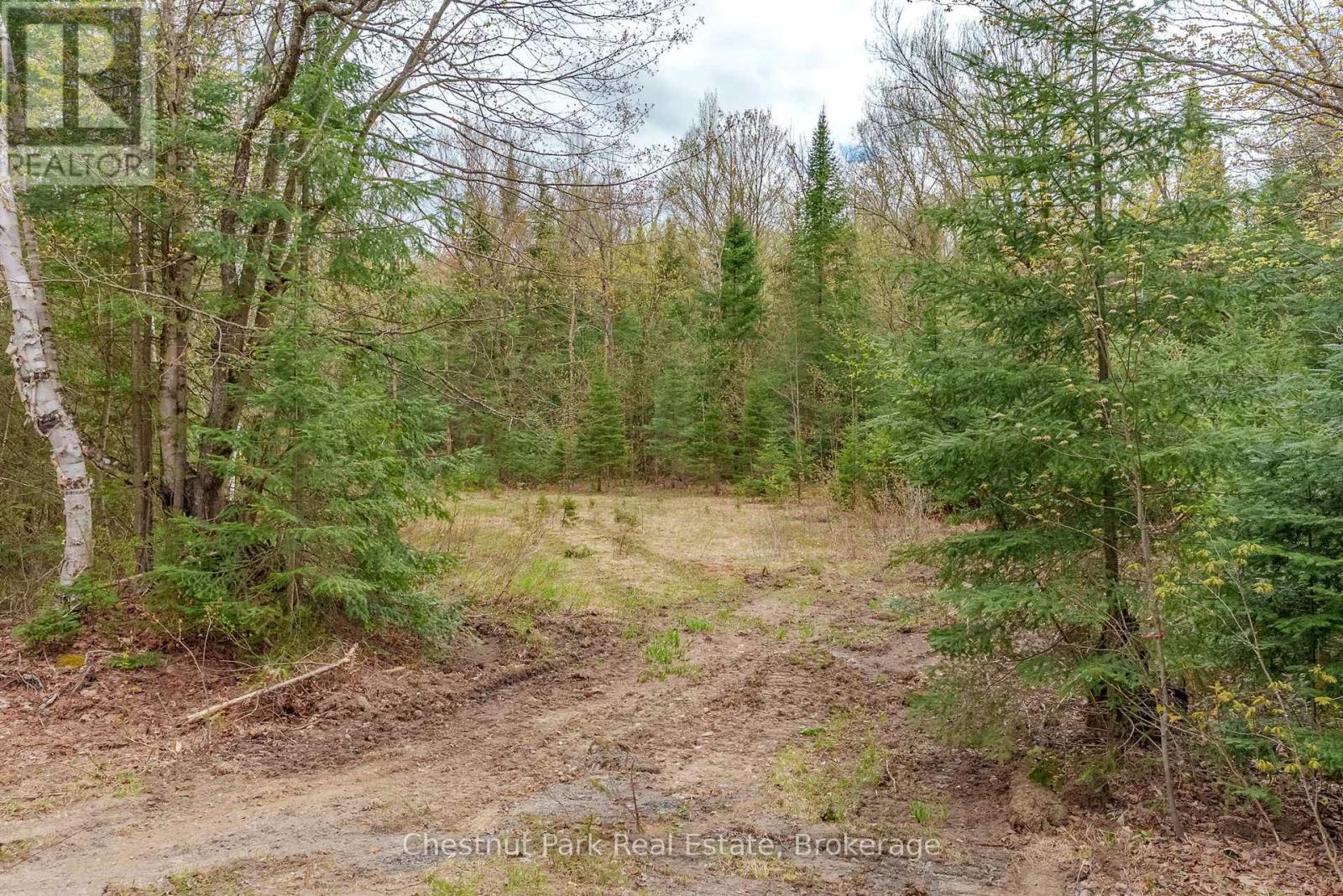 PART 7 ECHO RIDGE ROAD