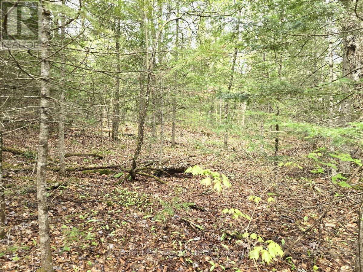 PART 7 ECHO RIDGE ROAD