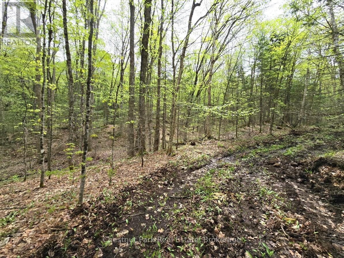 PART 7 ECHO RIDGE ROAD