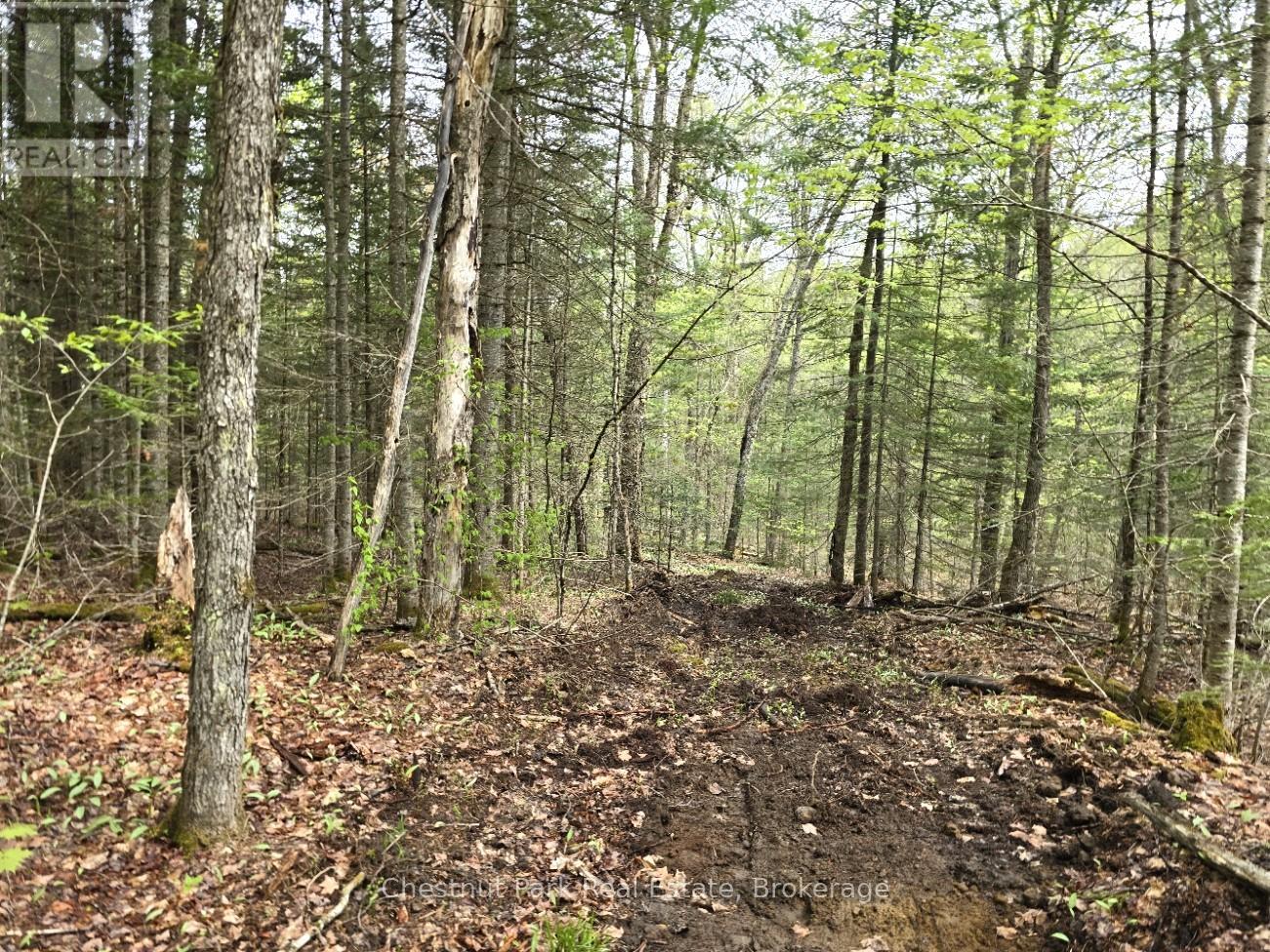 PART 7 ECHO RIDGE ROAD