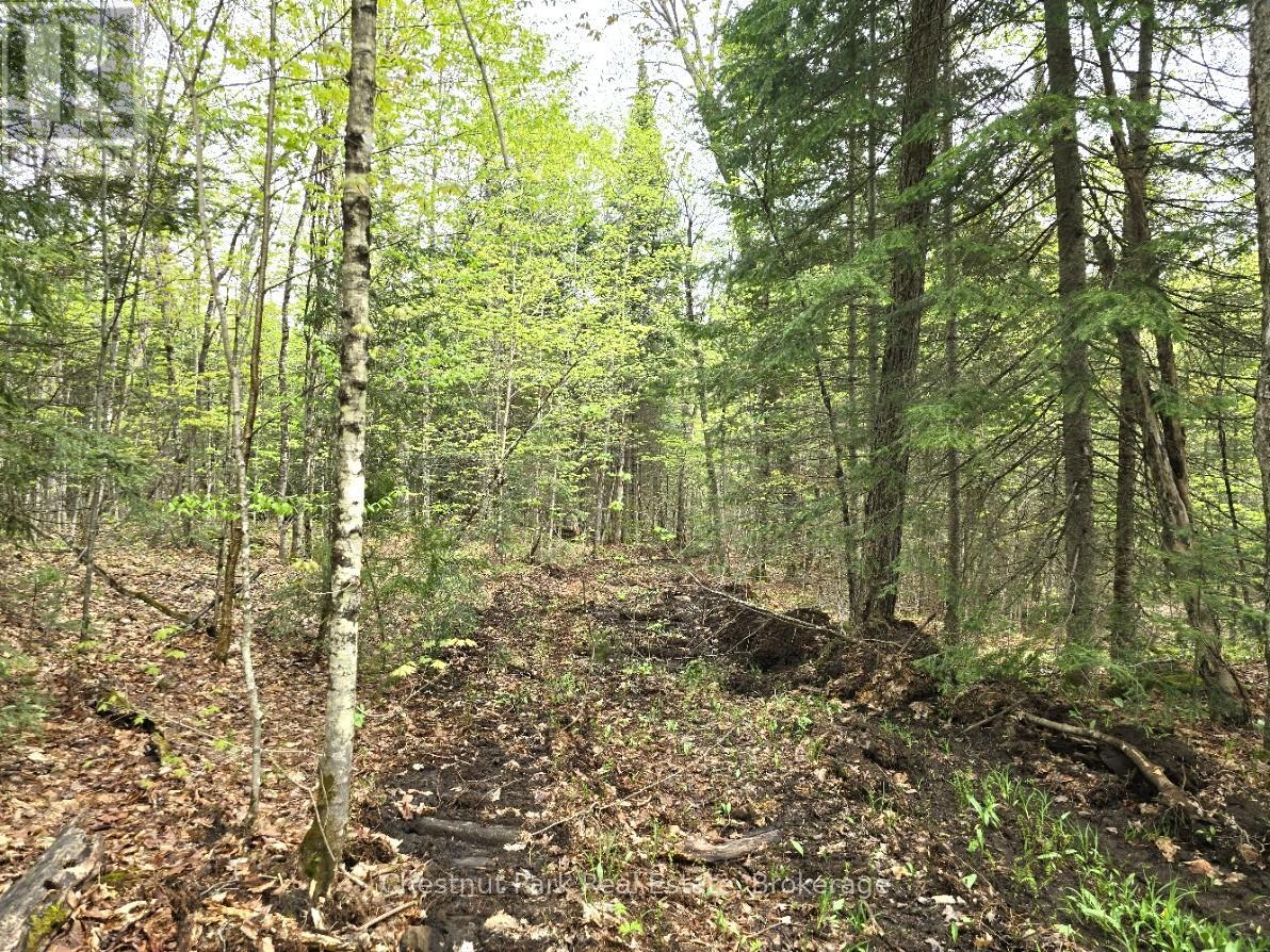 PART 7 ECHO RIDGE ROAD