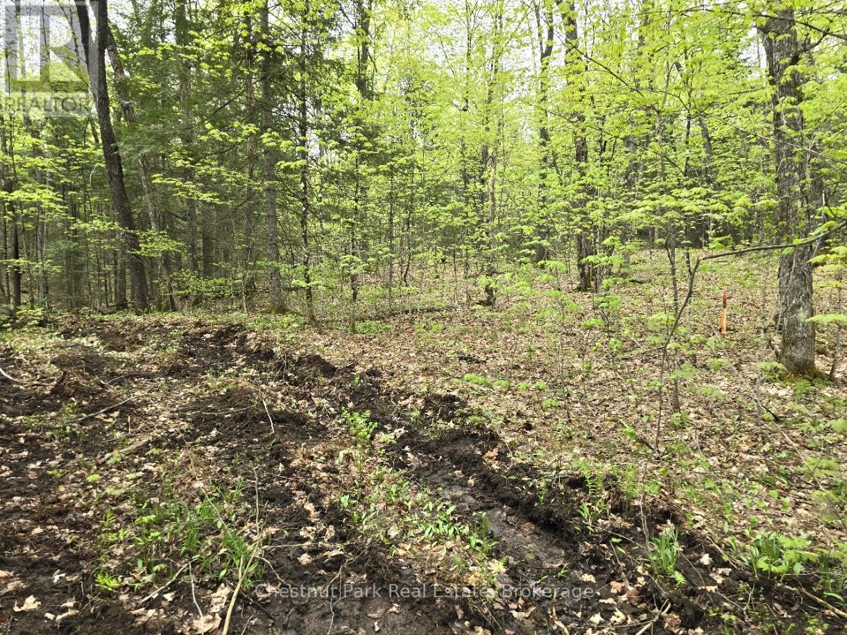 PART 7 ECHO RIDGE ROAD