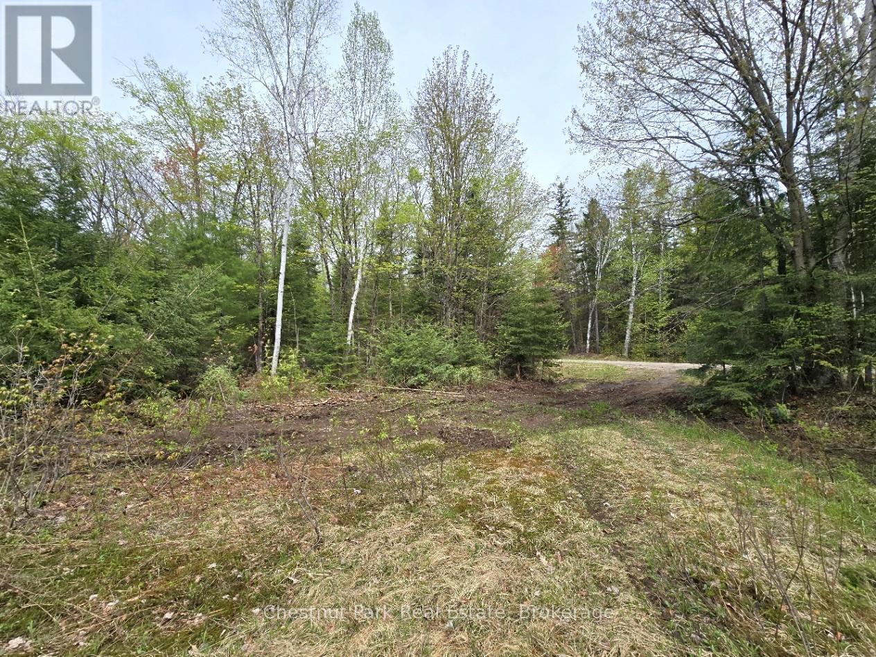 PART 7 ECHO RIDGE ROAD