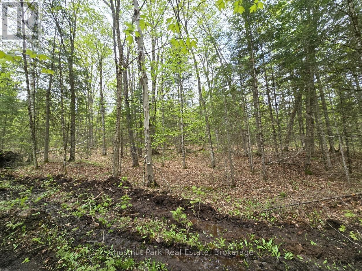 PART 7 ECHO RIDGE ROAD