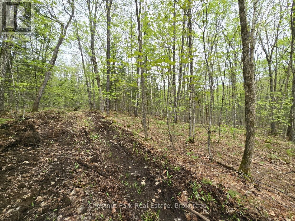 PART 7 ECHO RIDGE ROAD