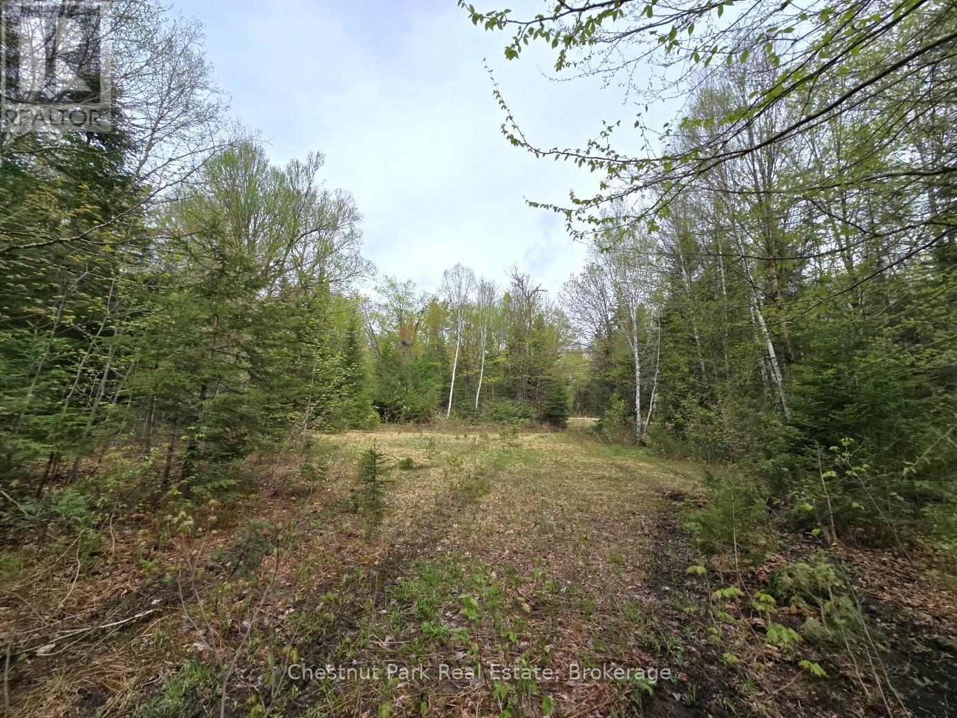 PART 7 ECHO RIDGE ROAD