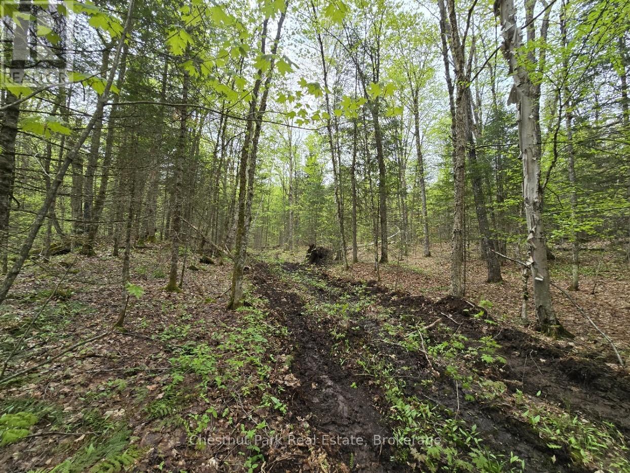 PART 7 ECHO RIDGE ROAD