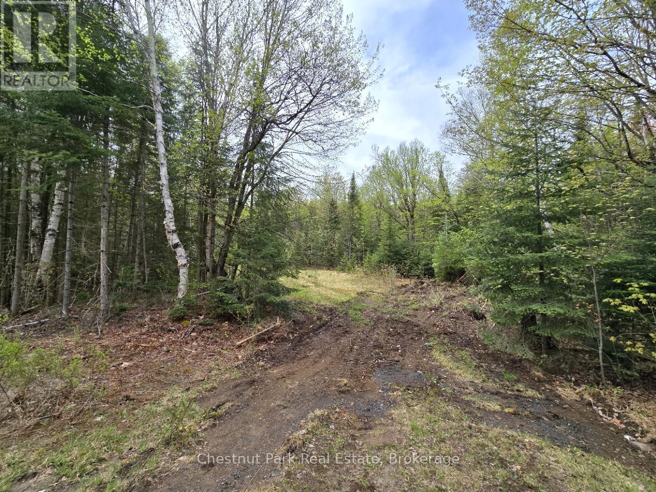 PART 7 ECHO RIDGE ROAD