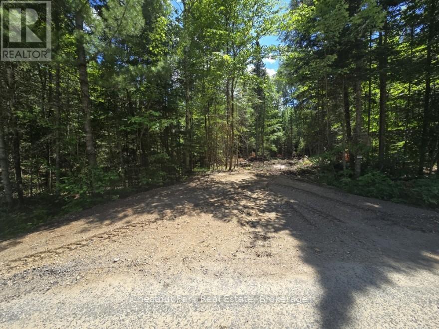 PART 5 ECHO RIDGE ROAD
