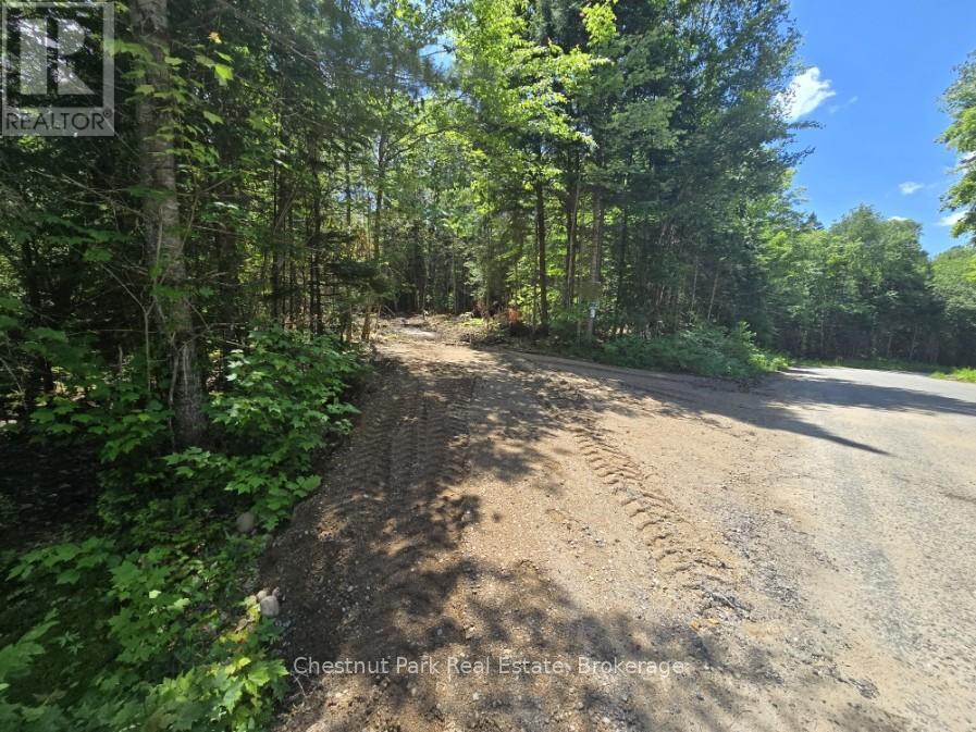 PART 5 ECHO RIDGE ROAD