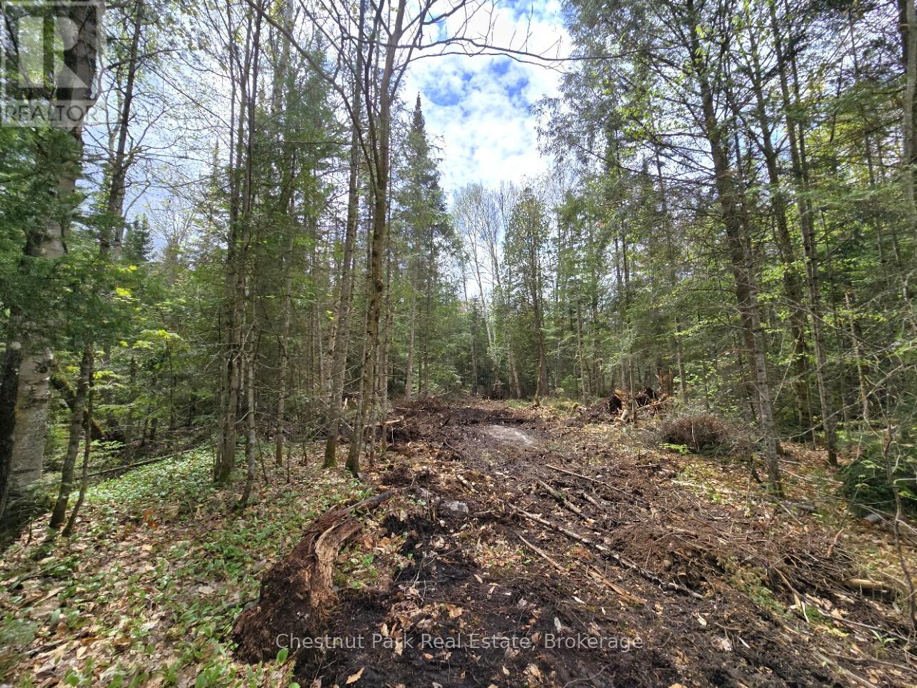 PART 5 ECHO RIDGE ROAD
