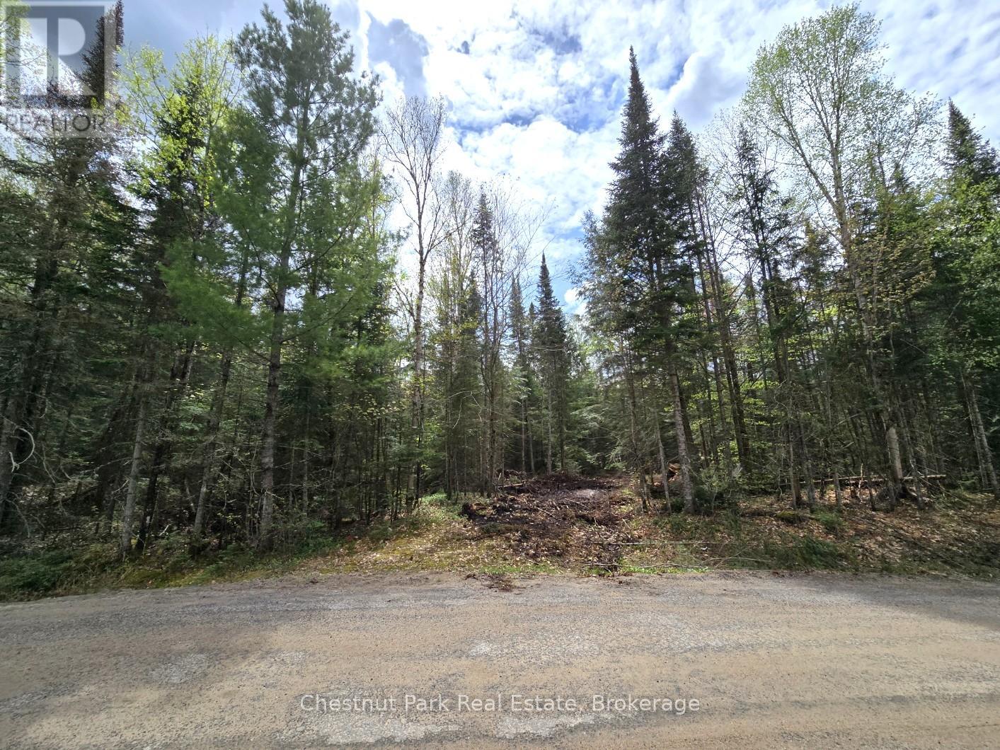 PART 5 ECHO RIDGE ROAD