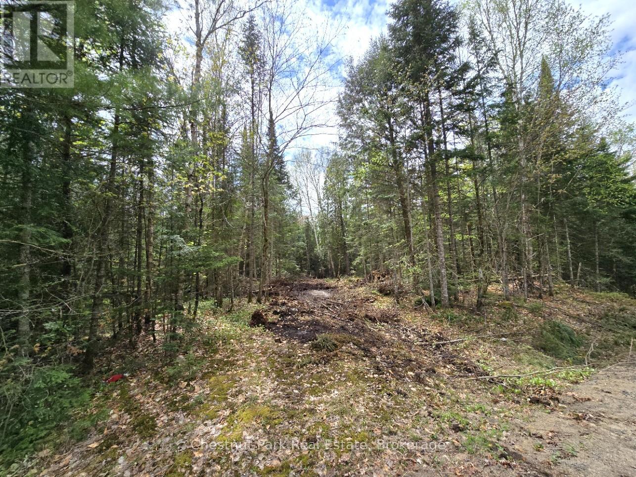 PART 5 ECHO RIDGE ROAD