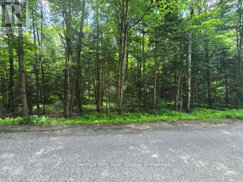 PART 5 ECHO RIDGE ROAD