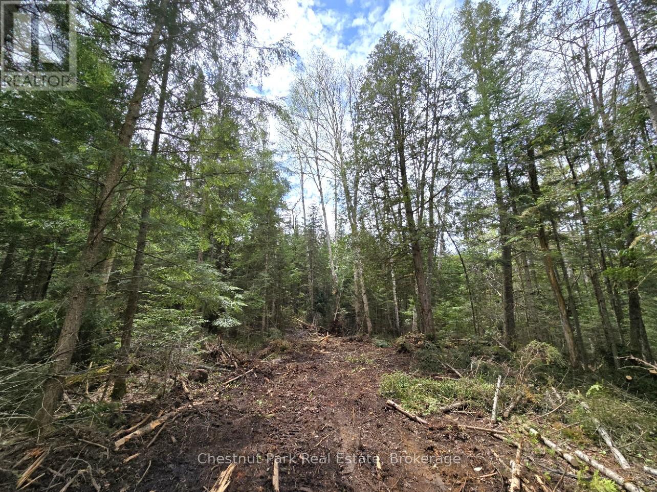 PART 5 ECHO RIDGE ROAD