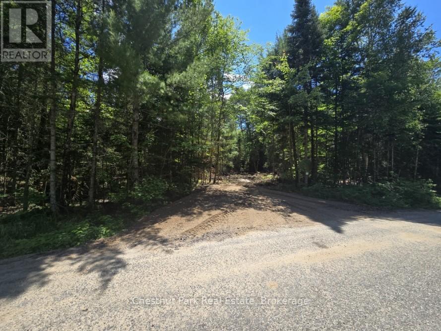 PART 5 ECHO RIDGE ROAD