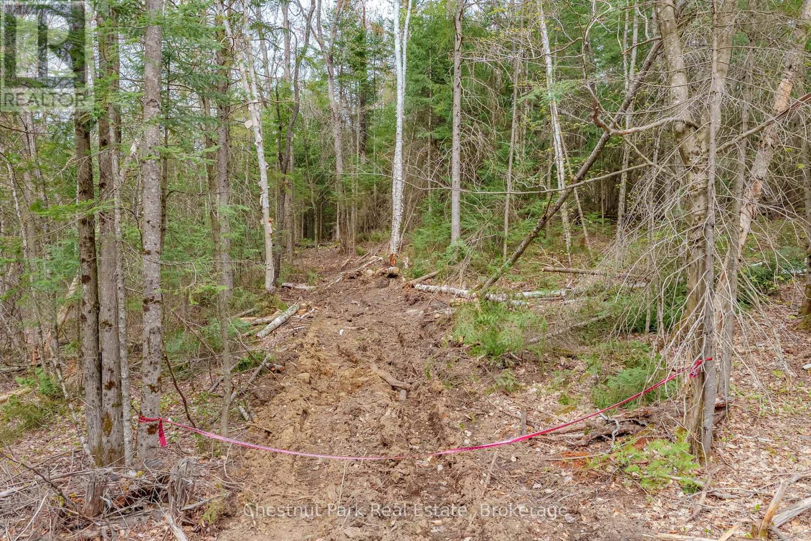 PART 4 ECHO RIDGE ROAD