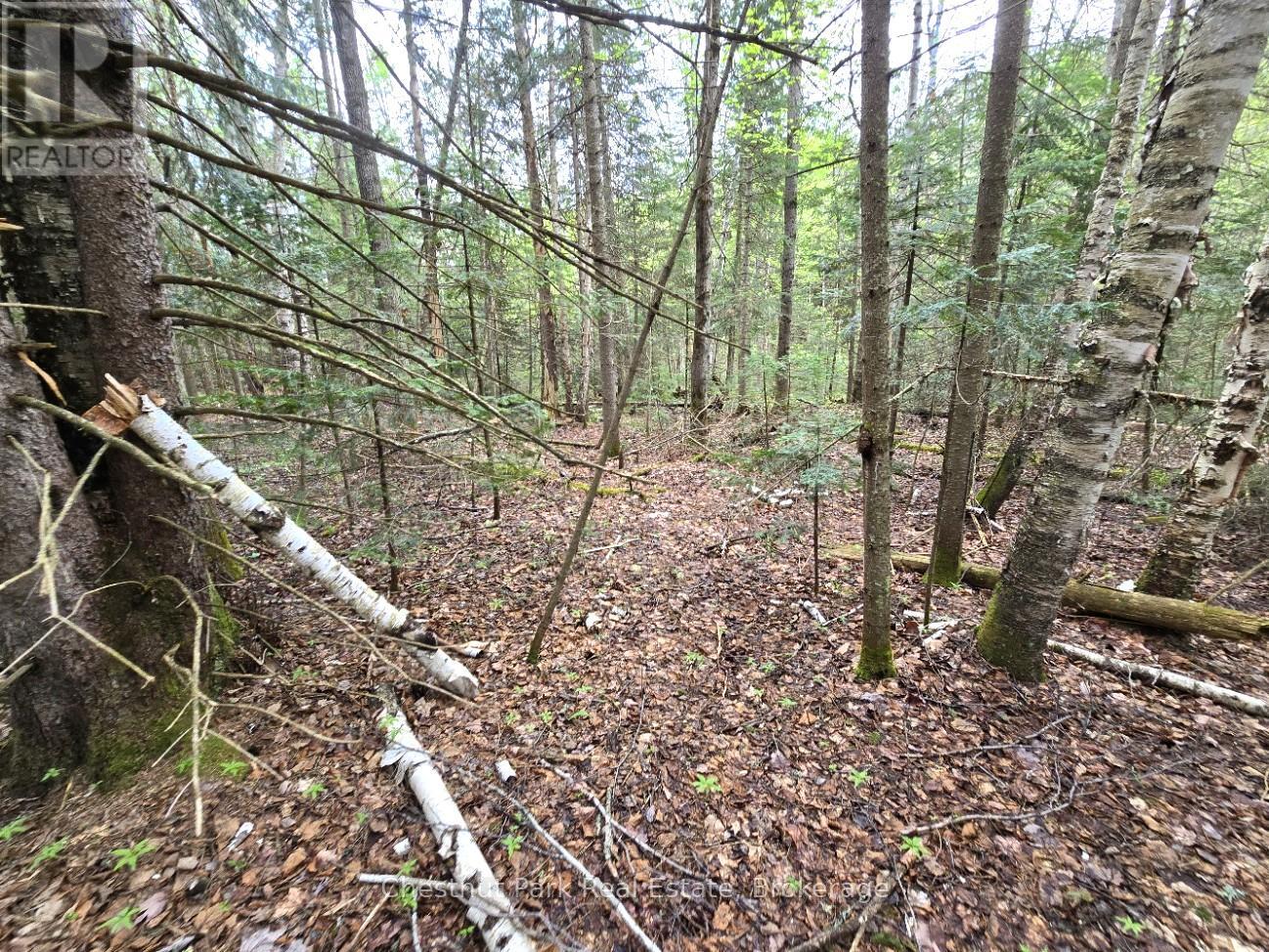 PART 4 ECHO RIDGE ROAD