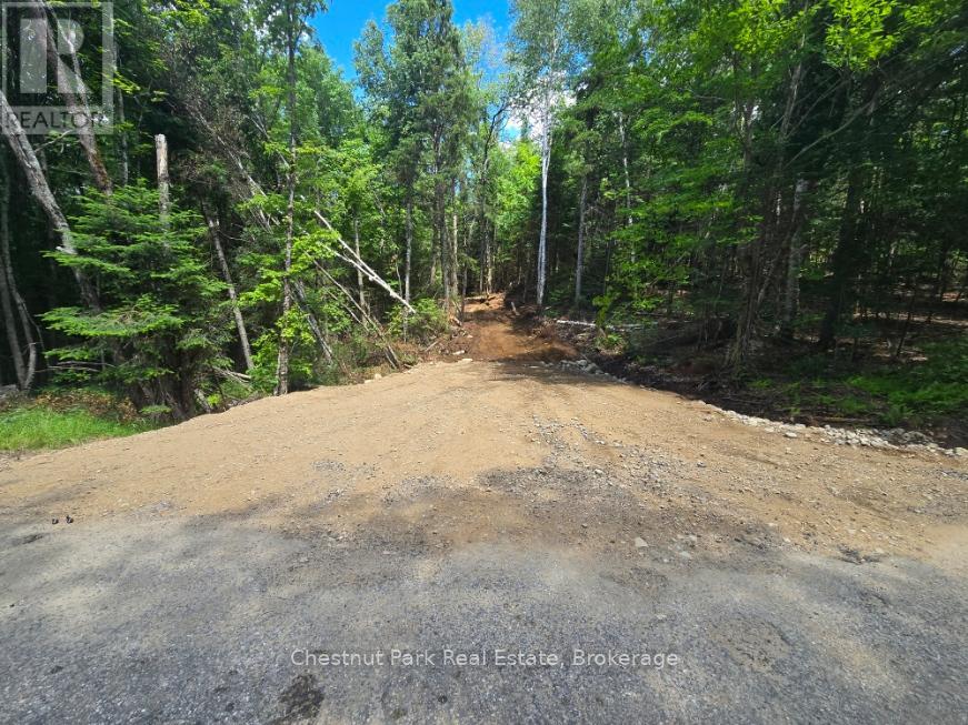 PART 4 ECHO RIDGE ROAD