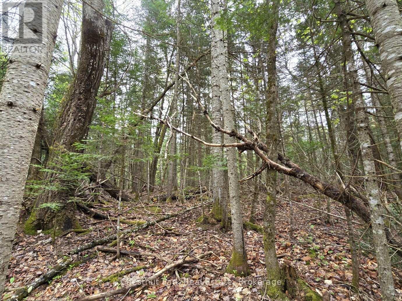 PART 4 ECHO RIDGE ROAD