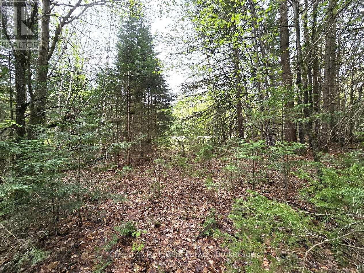 PART 4 ECHO RIDGE ROAD