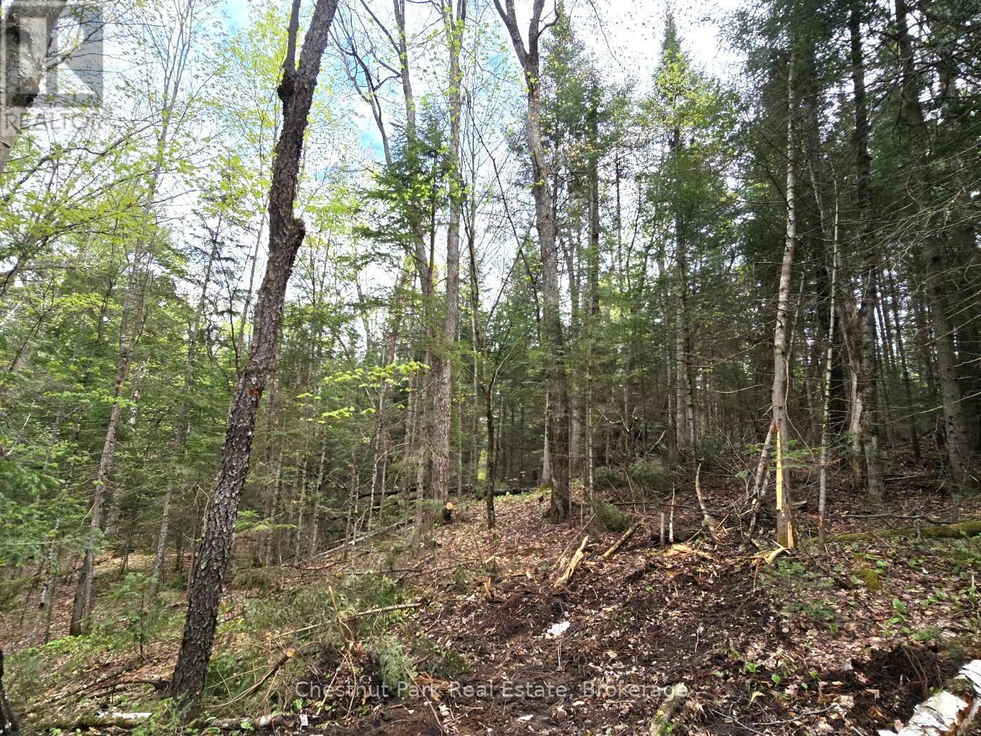 PART 4 ECHO RIDGE ROAD