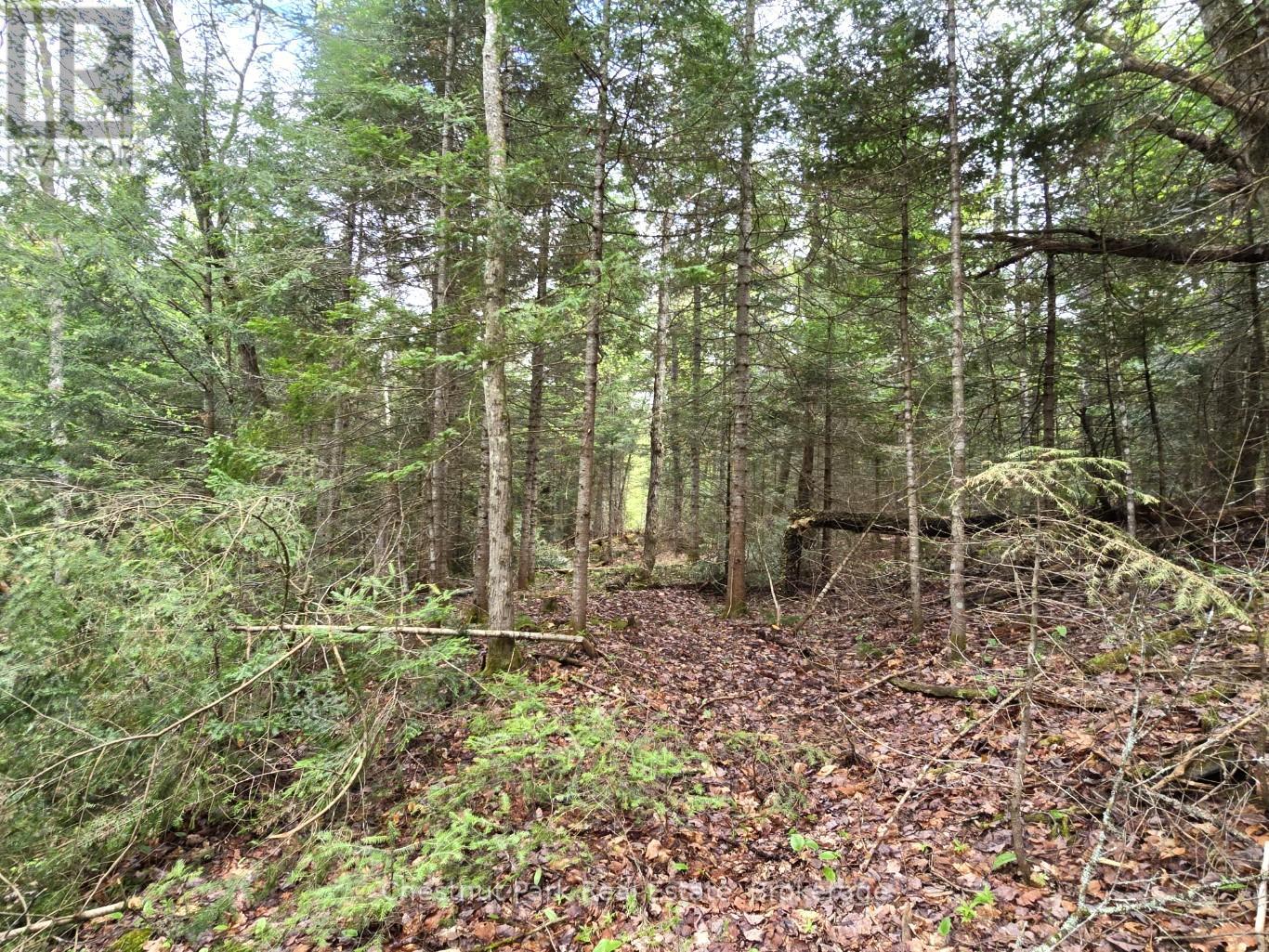 PART 4 ECHO RIDGE ROAD