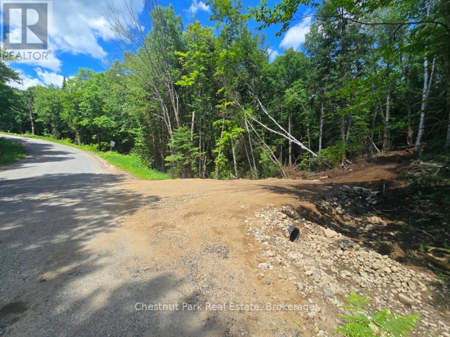 PART 4 ECHO RIDGE ROAD