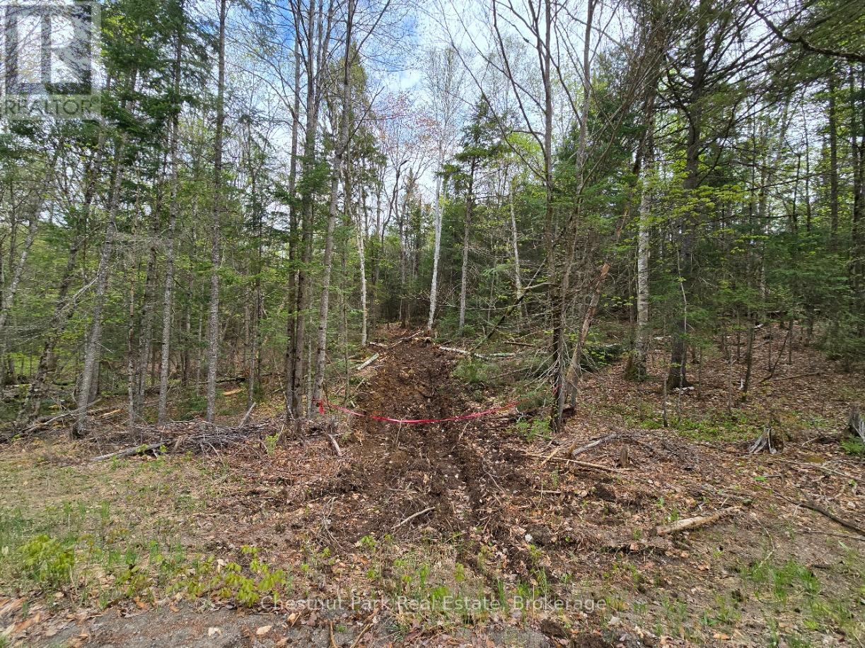 PART 4 ECHO RIDGE ROAD
