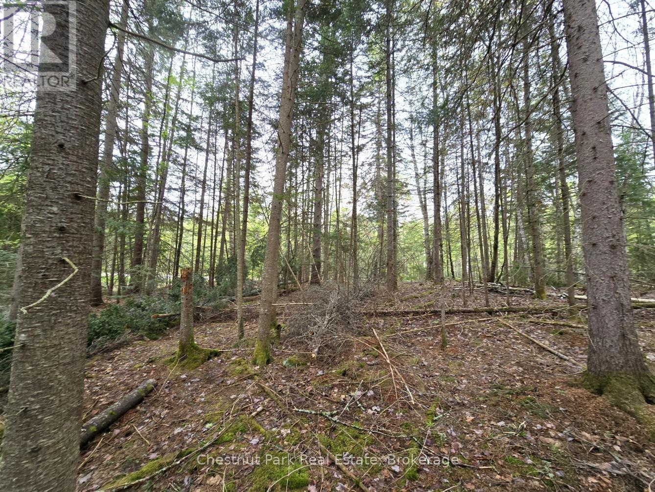 PART 4 ECHO RIDGE ROAD