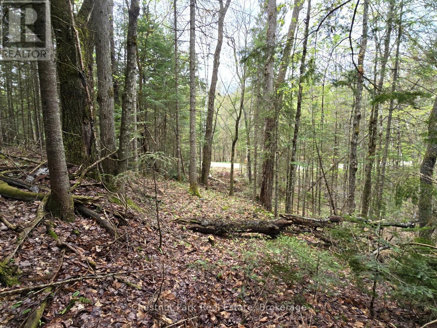 PART 4 ECHO RIDGE ROAD