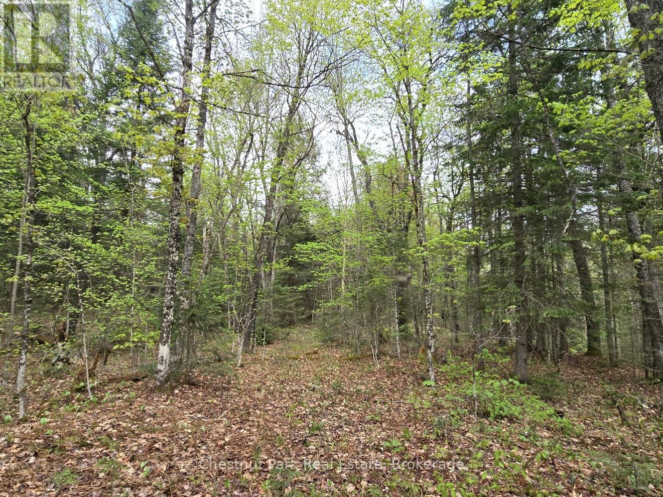 PART 4 ECHO RIDGE ROAD