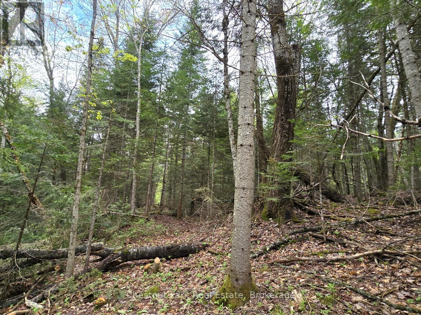PART 4 ECHO RIDGE ROAD
