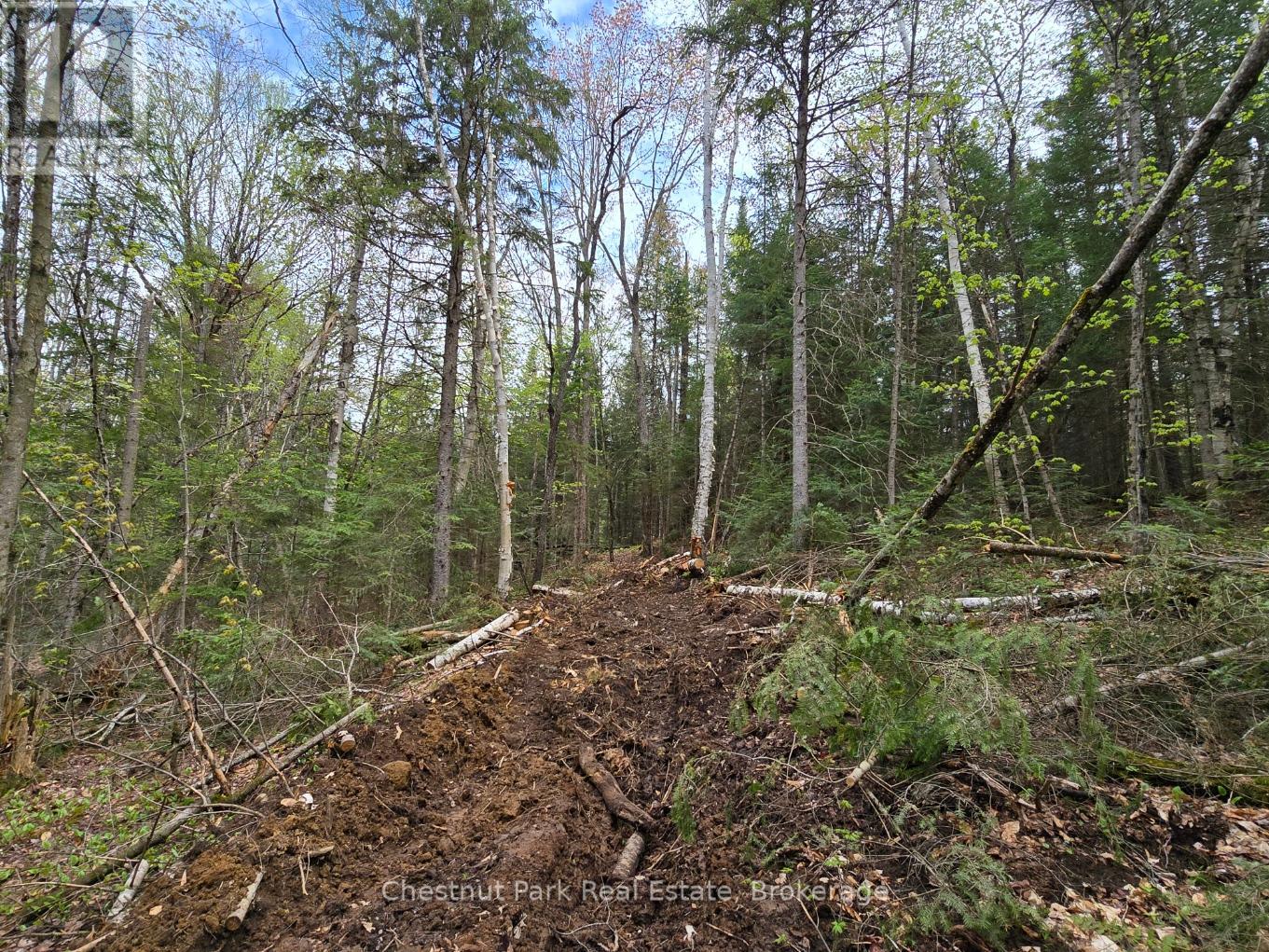 PART 4 ECHO RIDGE ROAD