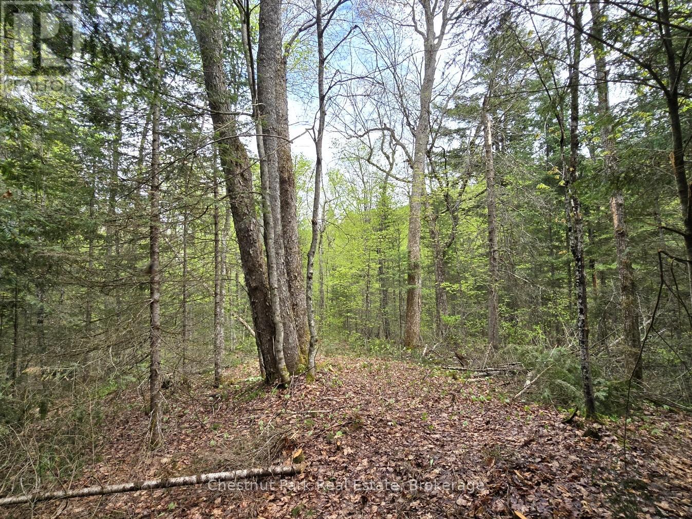 PART 4 ECHO RIDGE ROAD