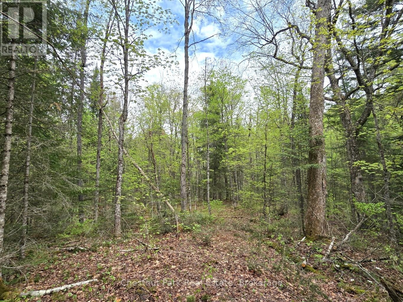 PART 4 ECHO RIDGE ROAD