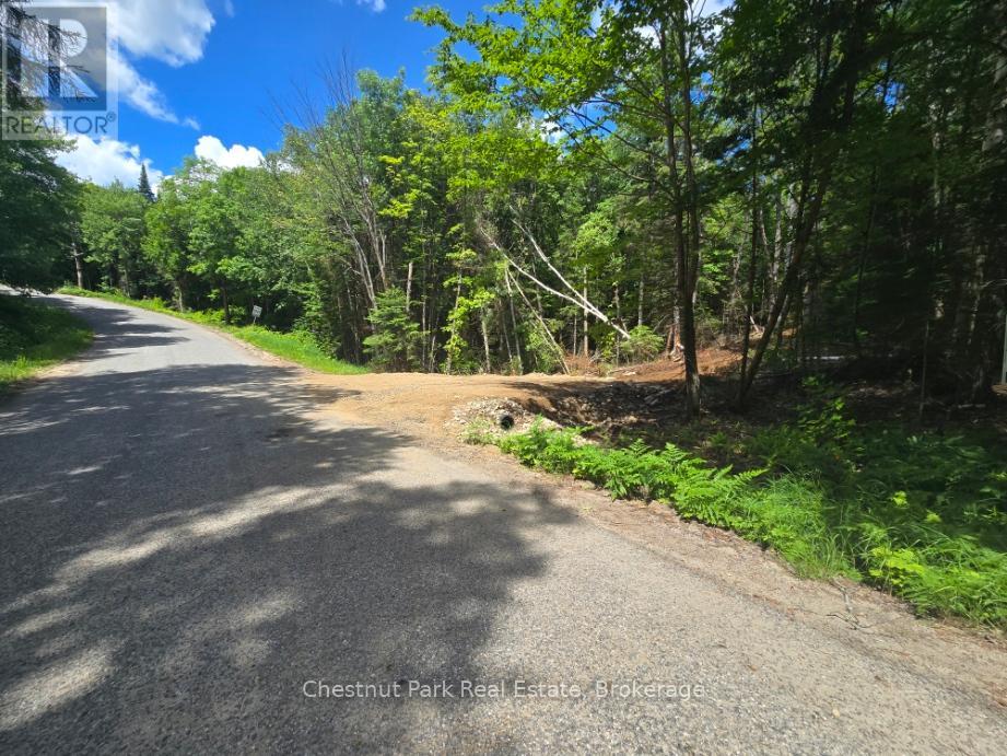 PART 4 ECHO RIDGE ROAD