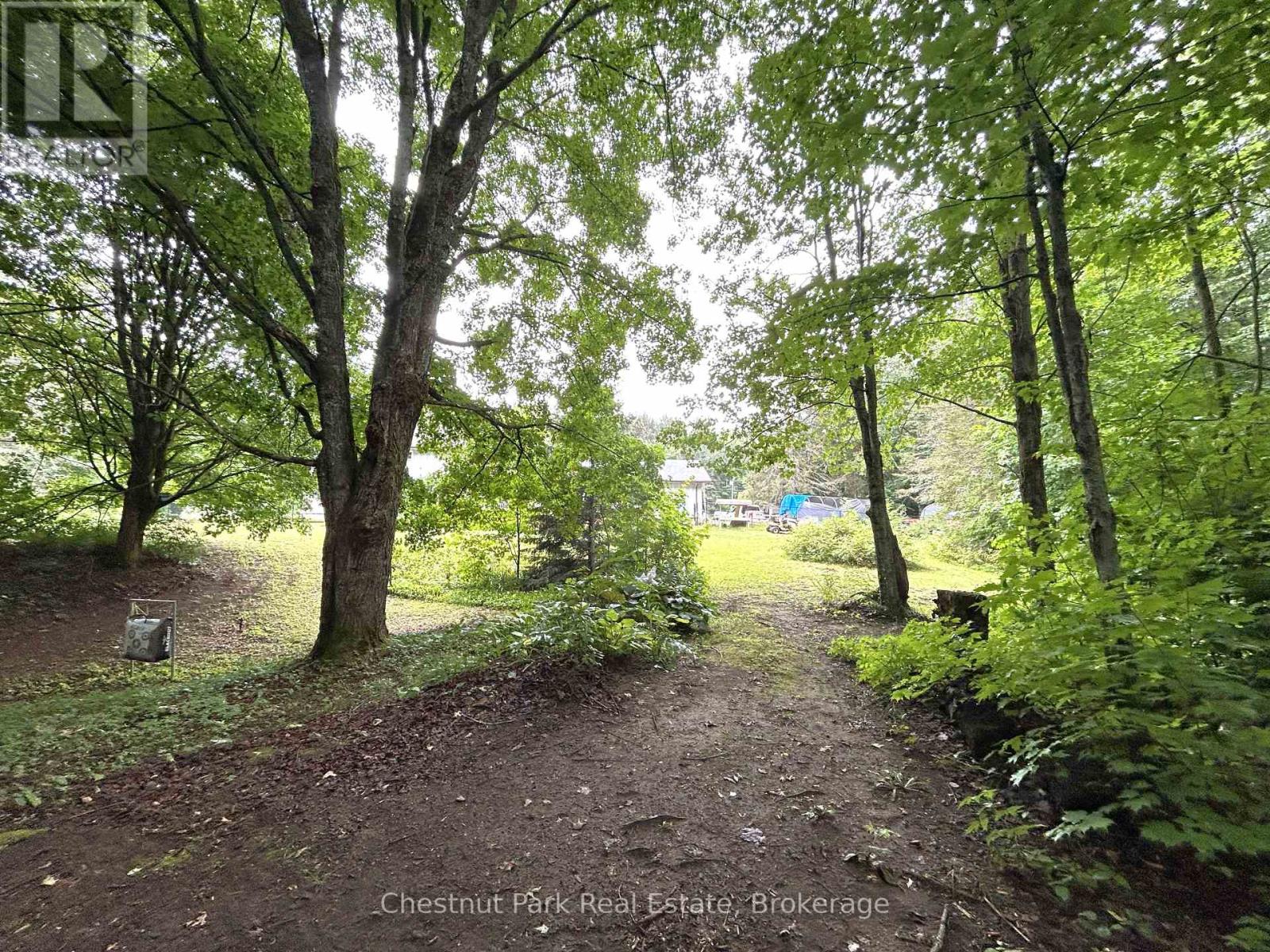 269 OLD MUSKOKA ROAD S