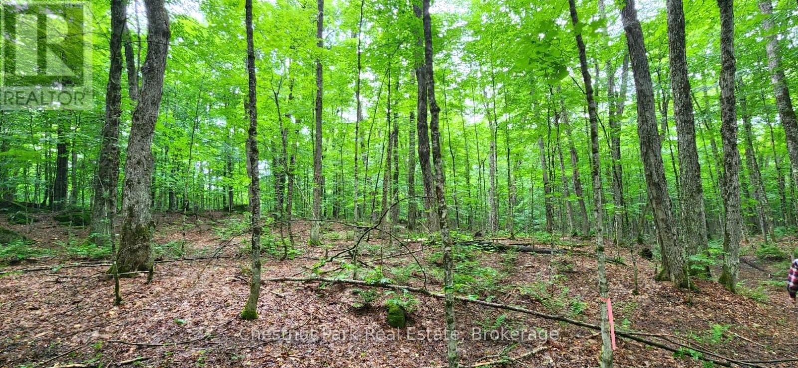 269 OLD MUSKOKA ROAD S
